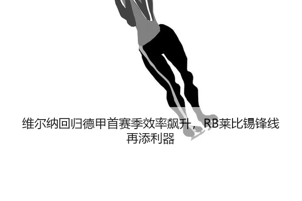 wei-er-na-hui-gui-de-jia-shou-sai-ji-xiao-lv-biao-sheng-lai-bi-xi-feng-xian-zai-tian-li-qi-3-862.jpg