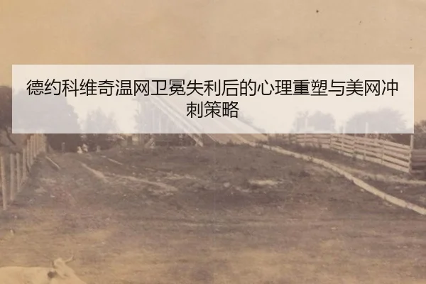 德约科维奇温网卫冕失利后的心理重塑与美网冲刺策略