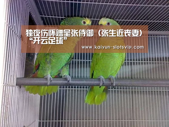 开云赛事