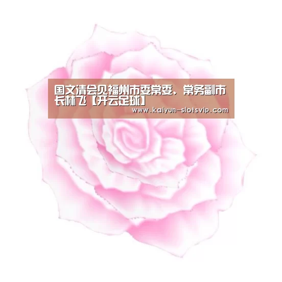 国文清会见福州市委常委、常务副市长林飞【开云足球】(图2) 开云赛事