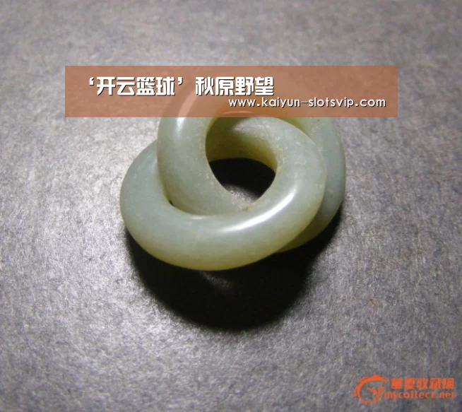 ‘开云篮球’秋原野望(图1) 开云篮球
